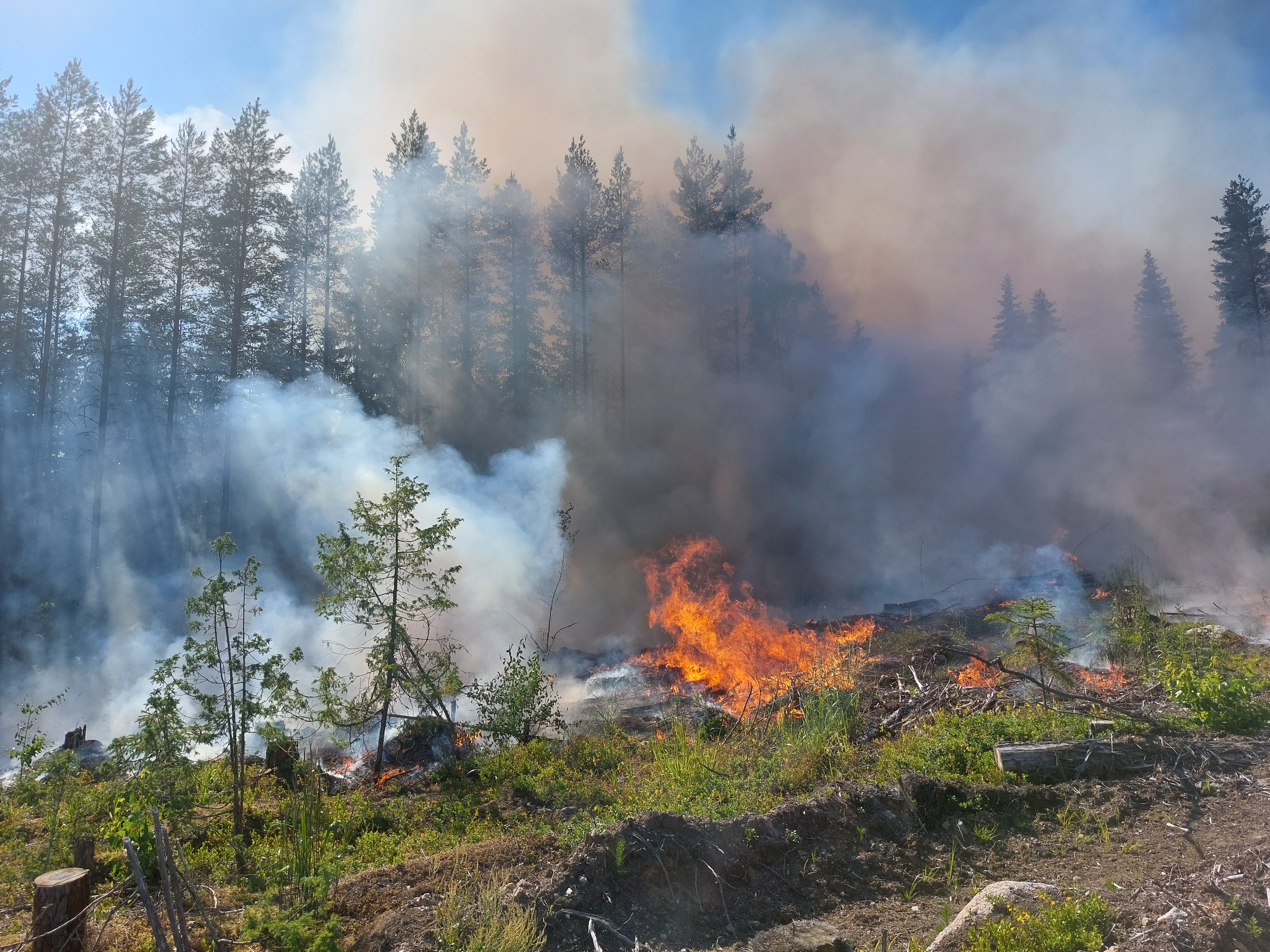 Droonit avuksi metsäpalojen sammuttamiseen