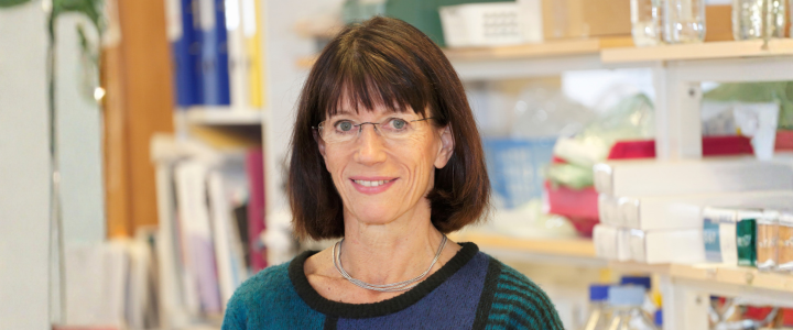 Irma Thesleff