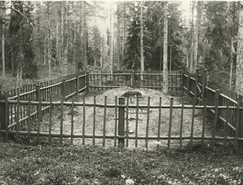 Kausti12.jpg