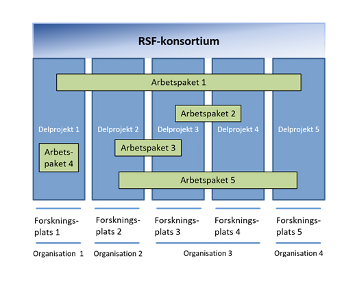 Ett exempel på strukturen av ett RSF-konsortium.