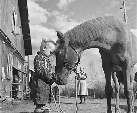 Kuva_2_poika_hevonen_kuvaaja_Pekka_Kyytinen_MV460.jpg