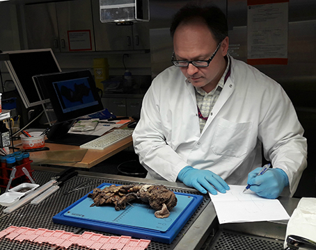 Markus Mäkinen preparoimassa laboratioriossa leikkauksessa poistettua suoliston palaa pöydän ääressä