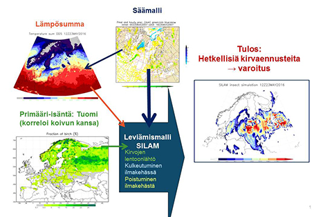 Kirvojen kulun simulointimalli