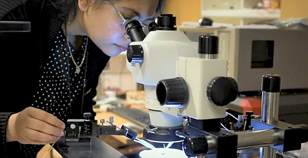 Erikoistutkija Sayani Majumdar katsoo mikroskooppiin
